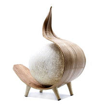 Load image into Gallery viewer, Natural Coconut Lamp - Natural Twist
