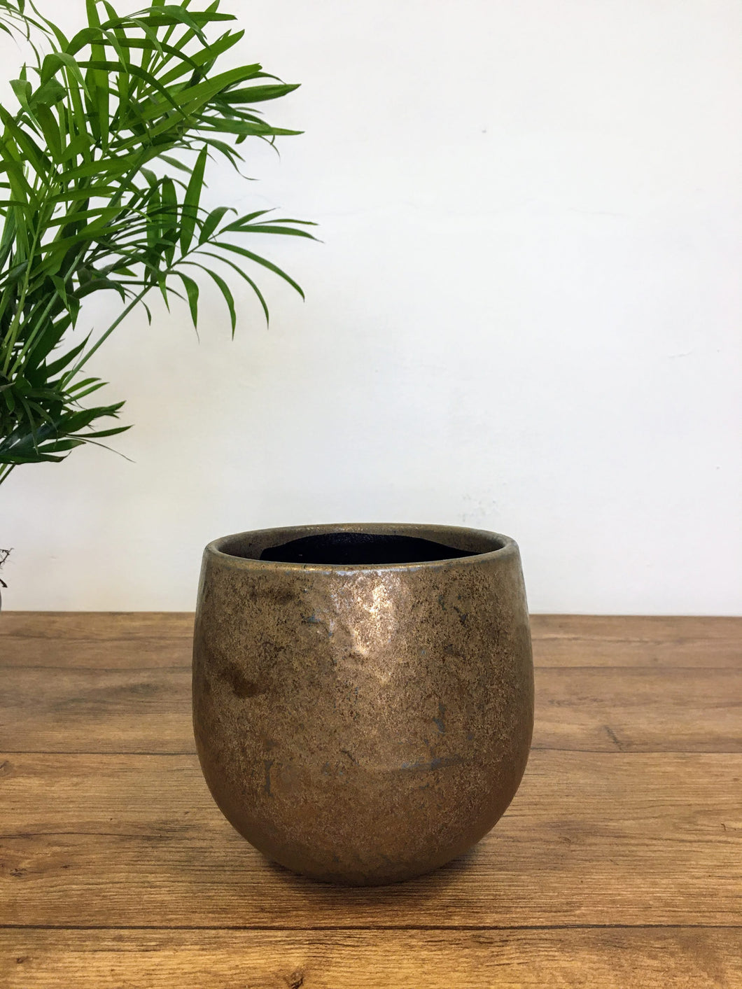 Bronze Plant Pot