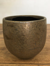 Load image into Gallery viewer, Bronze Plant Pot
