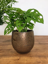 Load image into Gallery viewer, Bronze Plant Pot
