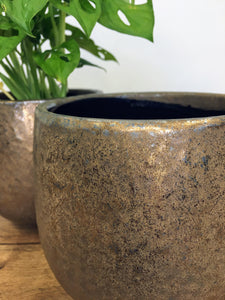 Bronze Plant Pot