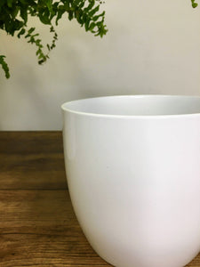 Elegant White Plant Pot