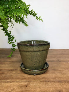 Glazed terracotta pot and dish - moss green