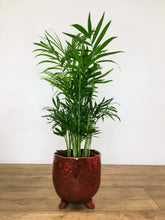 Load image into Gallery viewer, Plant pot on foot - red

