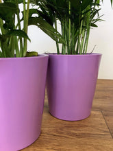 Load image into Gallery viewer, Pastel Round Pot - Mauve
