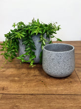 Load image into Gallery viewer, Ceramic Rounded Plant Pot - Granite
