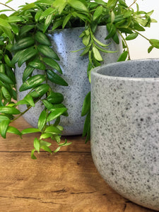 Ceramic Rounded Plant Pot - Granite