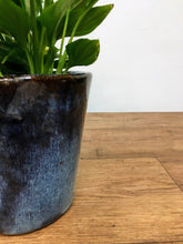 Load image into Gallery viewer, Glazed Alicante Pot - blue
