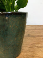 Load image into Gallery viewer, Glazed Pot -Green
