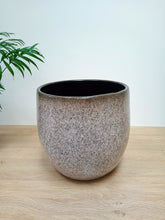 Load image into Gallery viewer, Dappled pot

