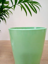 Load image into Gallery viewer, Pastel Round Pot - Mint
