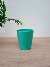 Load image into Gallery viewer, Pastel Round Pot - Turquoise green

