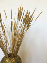 Load image into Gallery viewer, Dried Phelum - Timothy Grass
