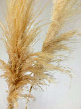 Load image into Gallery viewer, Dried Natural Fluffy Pampas Grass Bunch
