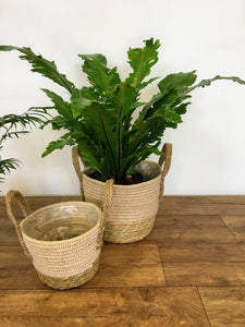 Two tone natural and white seagrass basket