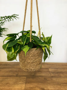 Natural seagrass hanging basket