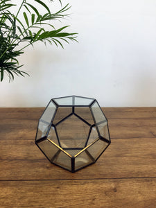 Glass Terrairum - Octagon