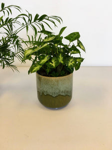 Drip glazed plant pot - green