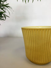 Load image into Gallery viewer, Delphi Plant Pot - Ochre yellow
