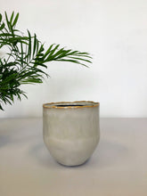 Load image into Gallery viewer, Iris Plant Pot - Stone
