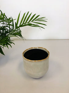 Iris Plant Pot - Stone