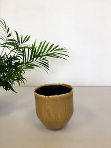 Iris Plant Pot - Sand