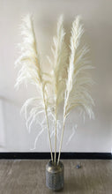 Load image into Gallery viewer, XL Dried White Cortaderia Pampas Grass
