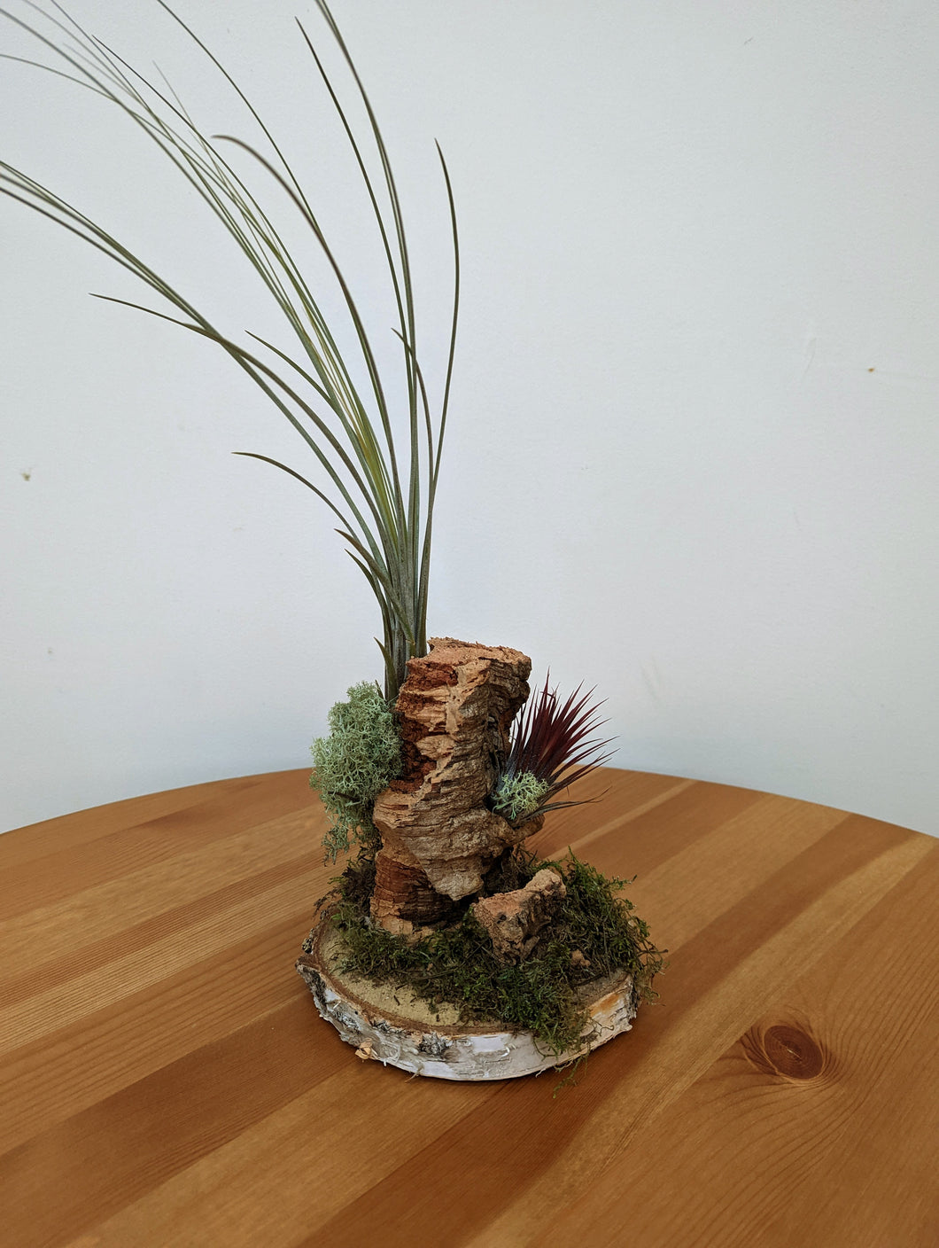 Mounted Airplant Arrangement