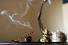 Load image into Gallery viewer, Golden Nag -  Patchouli Incense Sticks
