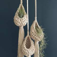 Load image into Gallery viewer, Macrame air plant hanger
