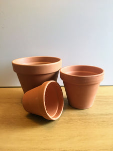Terracotta plant pot