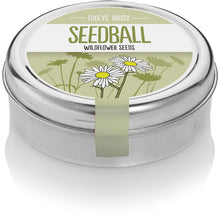 Load image into Gallery viewer, Seedball - Oxeye Daisy
