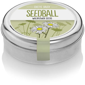 Seedball - Oxeye Daisy
